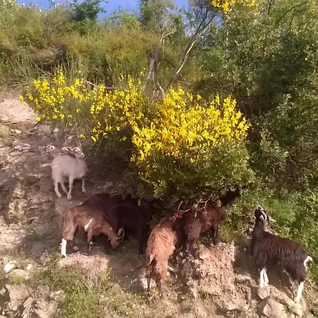 La Ferme Du Maquis 度假居