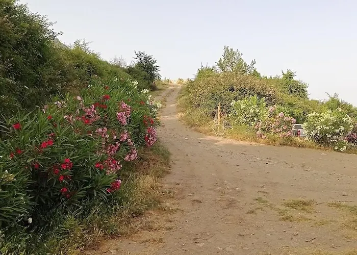 La Ferme Du Maquis Casa vacanze Antisanti