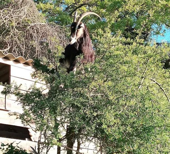 Casa vacanze La Ferme Du Maquis