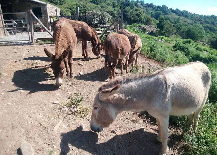 La Ferme Du Maquis Casa vacanze *