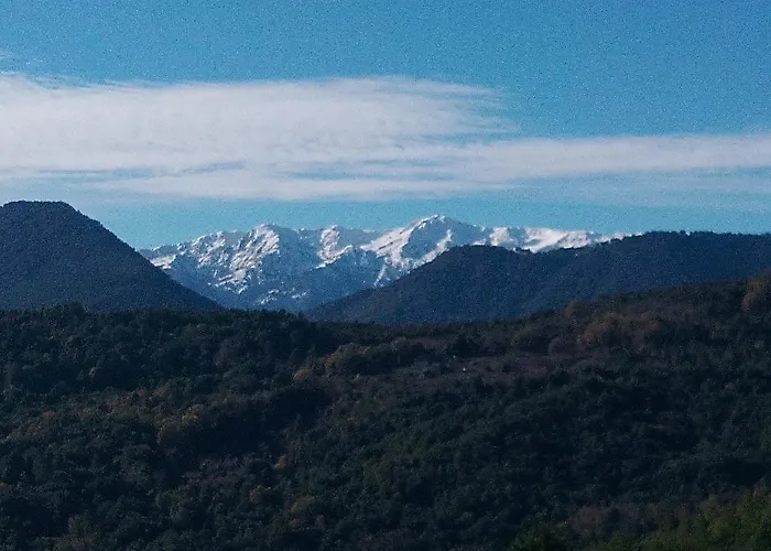 La Ferme Du Maquis Casa vacanze Antisanti