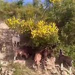 La Ferme Du Maquis Casa vacanze