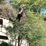 Casa vacanze La Ferme Du Maquis