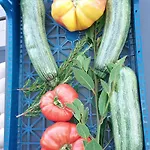 La Ferme Du Maquis *