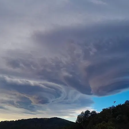 Casa de Férias La Ferme Du Maquis *