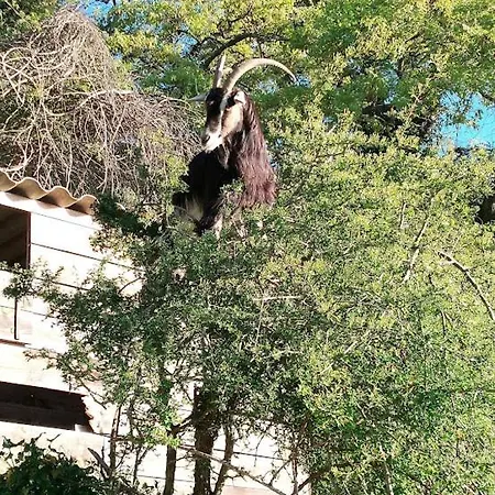Casa vacanze La Ferme Du Maquis