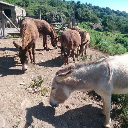 La Ferme Du Maquis Tatil Evi *