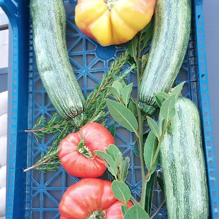 La Ferme Du Maquis *