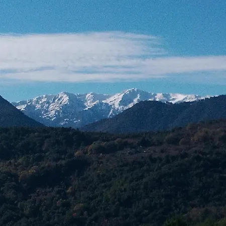La Ferme Du Maquis Casa vacanze Antisanti