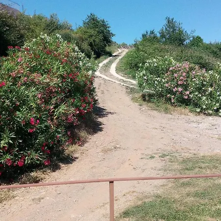 La Ferme Du Maquis