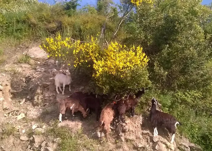 La Ferme Du Maquis Prázdninový dům