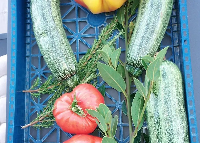 La Ferme Du Maquis *